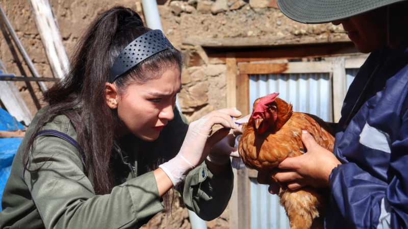 Docentes y estudiantes de Medicina Veterinaria y Zootecnia realizan recolección de muestras para diagnóstico parasitario de animales domésticos en Caraybamba – Aymaraes