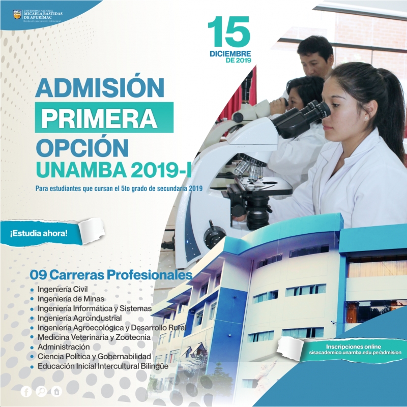Examen de Primera Opción UNAMBA 2020-I, 15 de diciembre de 2019