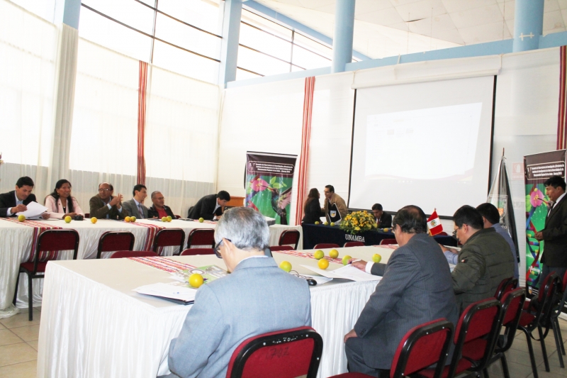 Con éxito se viene desarrollando el V Encuentro de Vicerrectores de Investigación y Directores de Institutos de la Mancomunidad de los Andes