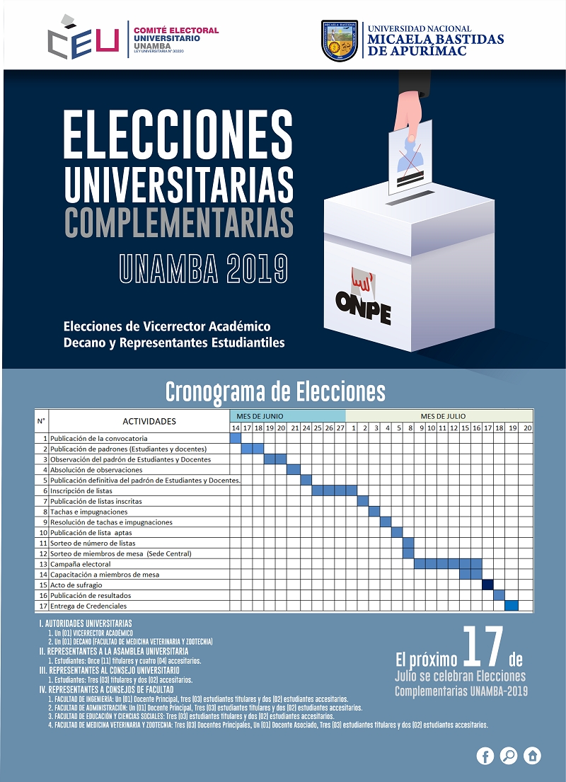 Elecciones Universitarias Complementarias UNAMBA-2019, 17 de julio