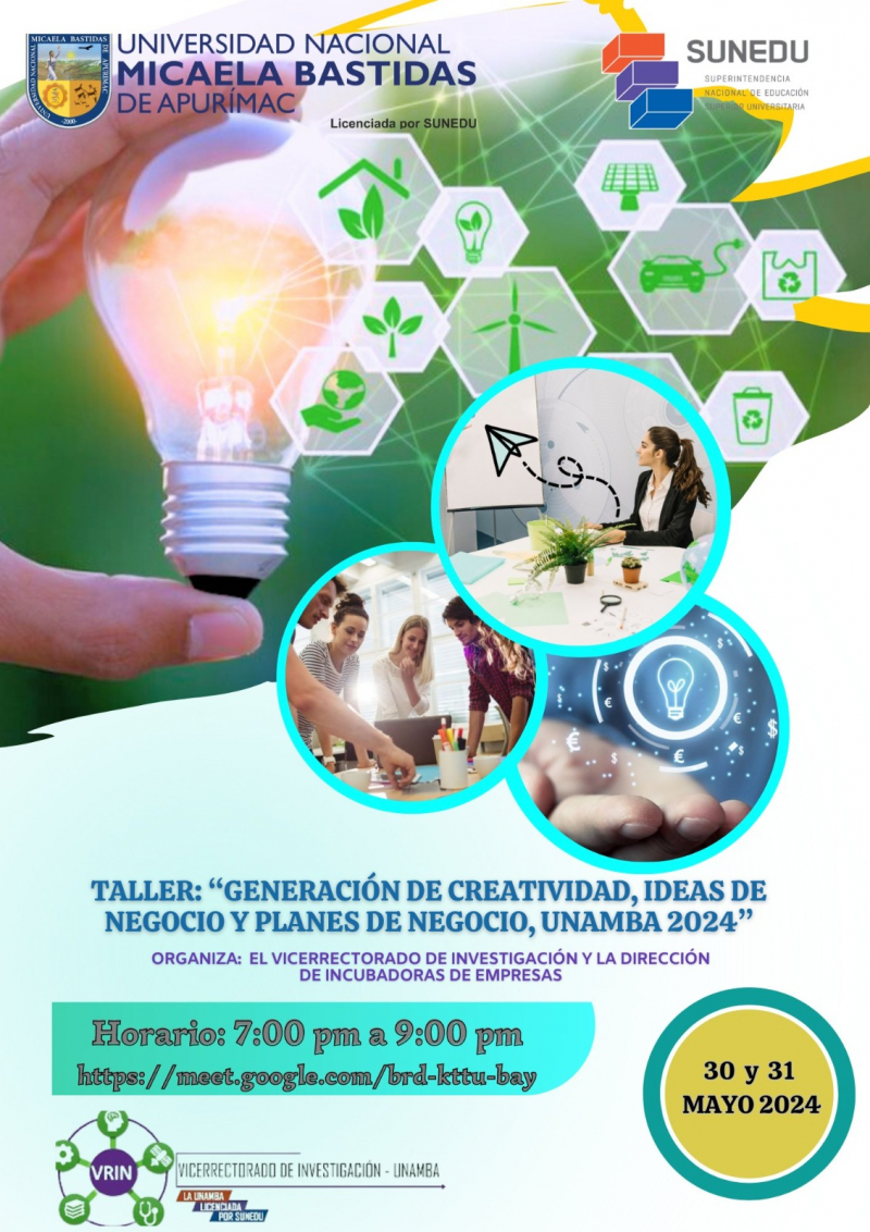 Taller &quot;Generación de creatividad, ideas de negocio y planes de negocio UNAMBA 2024