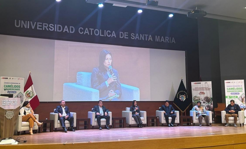 Docente de la UNAMBA participa como panelista en el Congreso Internacional de Camélidos Sudamericanos en Arequipa